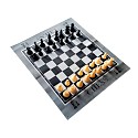 Outdoor Schachspiel, Gartenschach mit 32 Schachfiguren, Riesenschach, große Spielfeld Matte mit Schachbrett Muster 