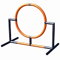 Minka und Fred - Hundesport Ring 25cm / 105cm