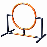 Minka und Fred - Hundesport Ring 25cm / 105cm
