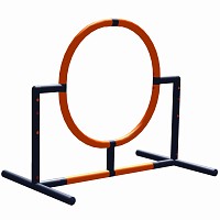 Minka und Fred - Hundesport Ring 25cm / 105cm 1